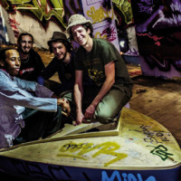 FOUR SEASONS OF ROOTS