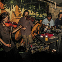 Four Seasons of Roots